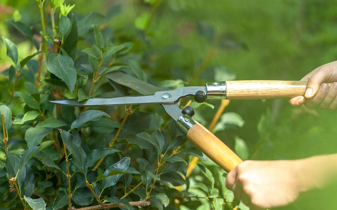 5 Spring Home Maintenance Tasks