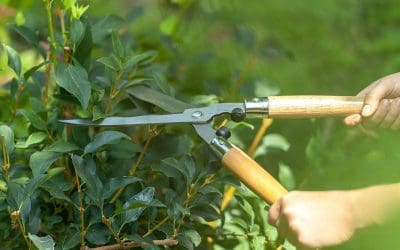 5 Spring Home Maintenance Tasks