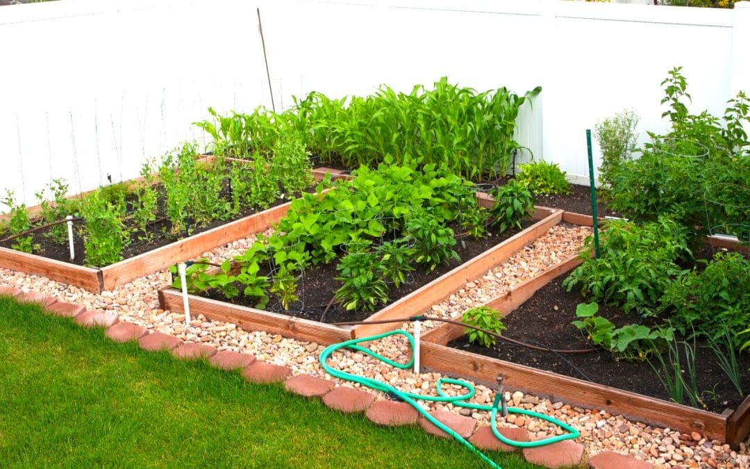 A Gardener’s Guide: Tips to Prepare Your Garden for Spring