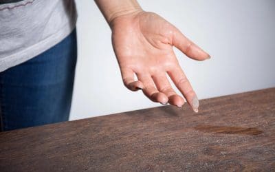 Allergy-Proofing Your Home: A Breath of Fresh Air