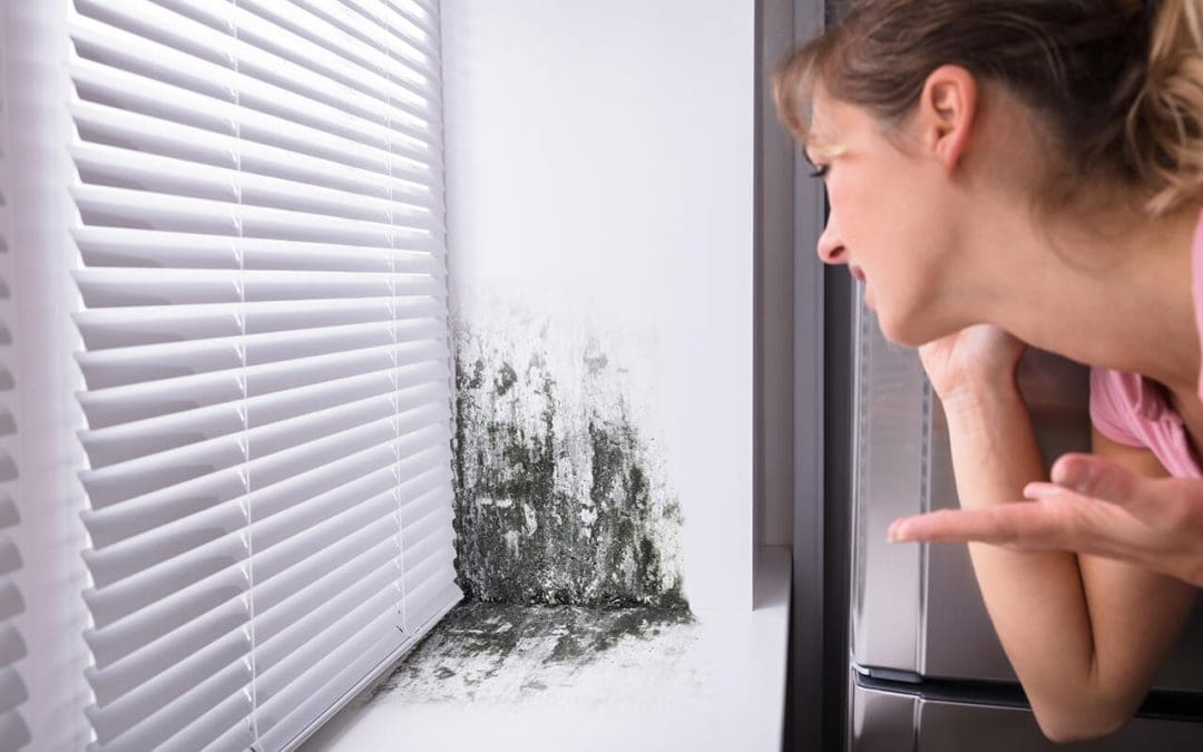 Recognizing the Warning Signs of Mold Growth in Your Home